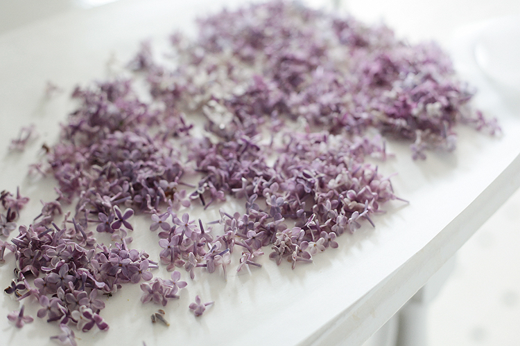 How to Make Lilac Perfume